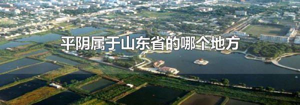 平阴属于山东省的哪个地方