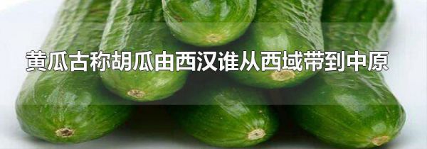 黄瓜古称胡瓜由西汉谁从西域带到中原