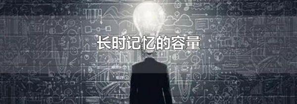 长时记忆的容量