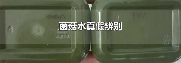 菌菇水真假辨别