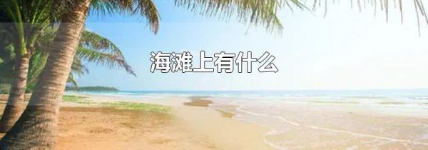 海滩上有什么