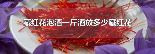 藏红花泡酒一斤酒放多少藏红花