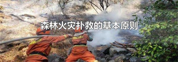 森林火灾扑救的基本原则