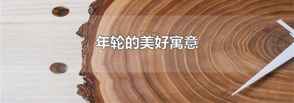 年轮的美好寓意