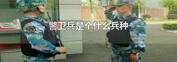警卫兵是个什么兵种