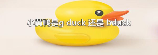 小黄鸭是g duck 还是 bduck