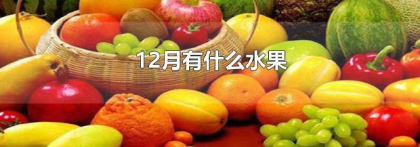 12月有什么水果