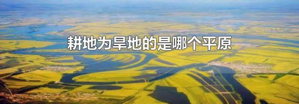 耕地为旱地的是哪个平原