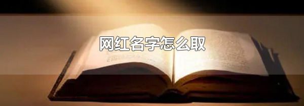 网红名字怎么取