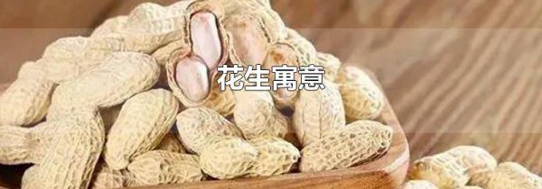 花生寓意