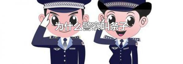 为什么警察叫条子