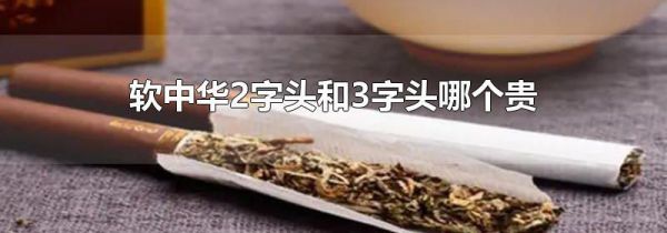 软中华2字头和3字头哪个贵