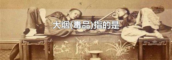 大烟(毒品)指的是