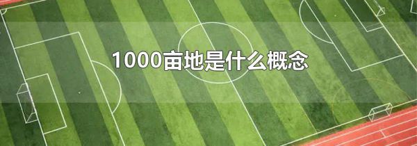 1000亩地是什么概念