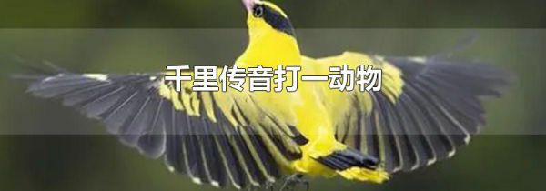 千里传音打一动物