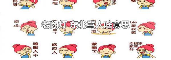 老闭灯 东北骂人啥意思