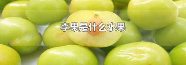 李果是什么水果