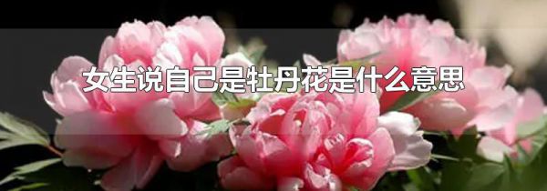 女生说自己是牡丹花是什么意思