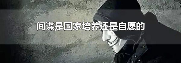 间谍是国家培养还是自愿的
