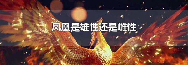 凤凰是雄性还是雌性