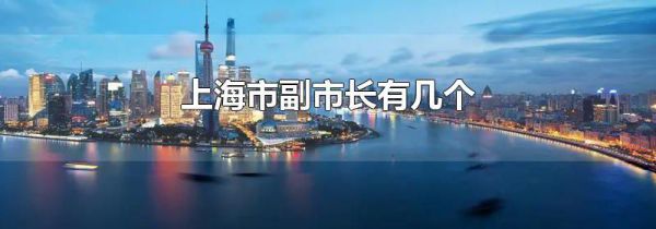 上海市副市长有几个