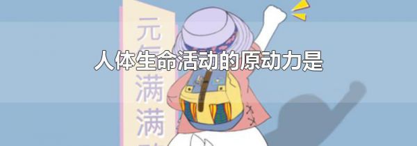 人体生命活动的原动力是