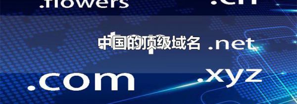中国的顶级域名