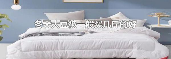 冬天大豆被一般买几斤的好