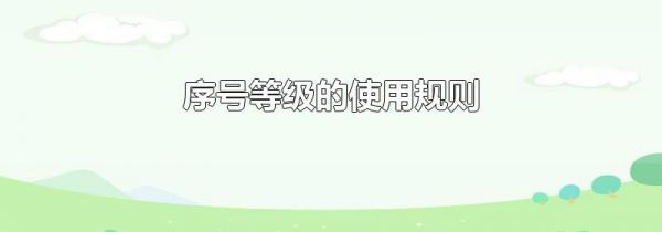 序号等级的使用规则