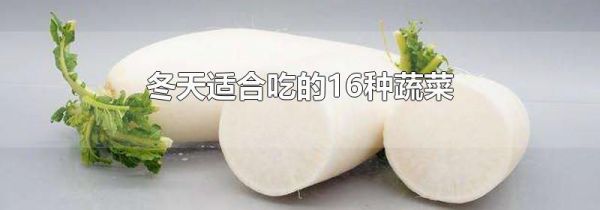 冬天适合吃的16种蔬菜