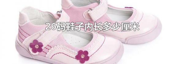 26码鞋子内长多少厘米