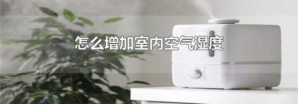 怎么增加室内空气湿度
