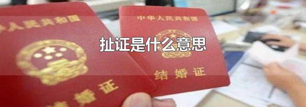 扯证是什么意思