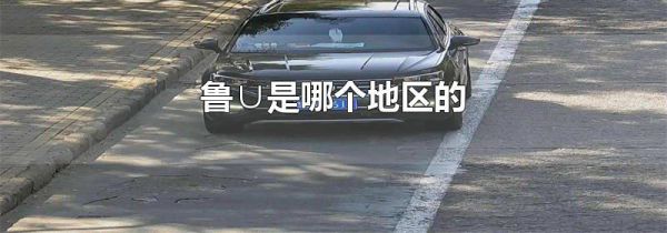 鲁∪是哪个地区的