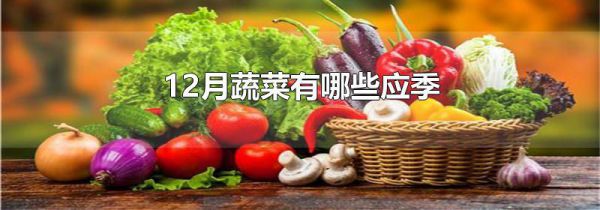 12月蔬菜有哪些应季