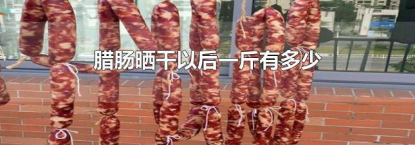 腊肠晒干以后一斤有多少