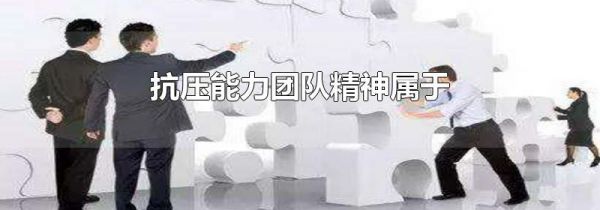 抗压能力团队精神属于
