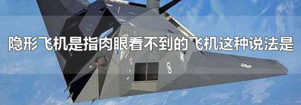 隐形飞机是指肉眼看不到的飞机这种说法是