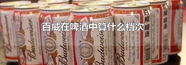 百威在啤酒中算什么档次