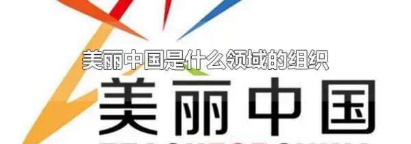 美丽中国是什么领域的组织