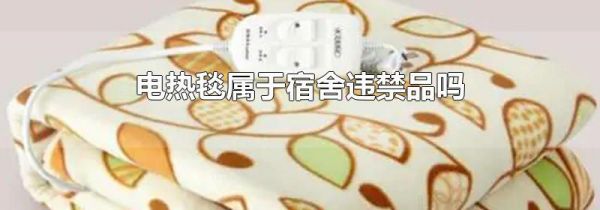 电热毯属于宿舍违禁品吗