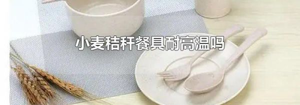 小麦秸秆餐具耐高温吗