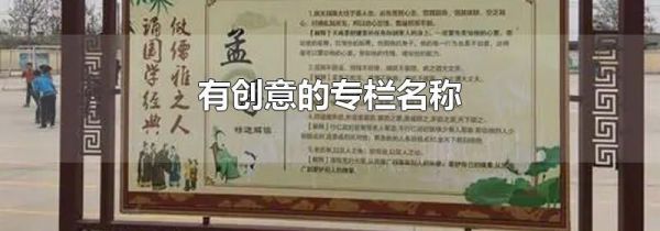 有创意的专栏名称