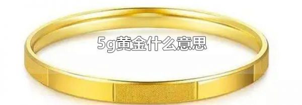 5g黄金什么意思