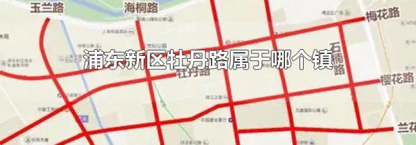 浦东新区牡丹路属于哪个镇