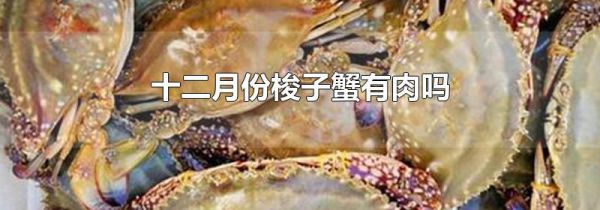 十二月份梭子蟹有肉吗