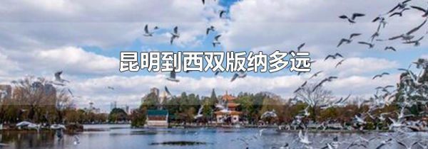 昆明到西双版纳多远