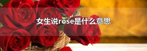 女生说rose是什么意思