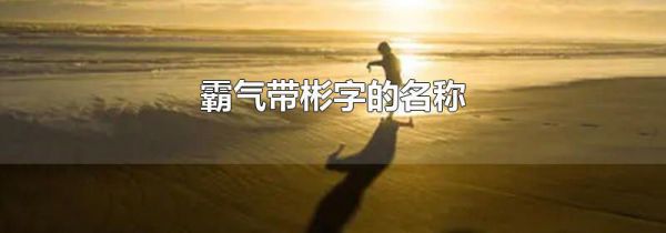 霸气带彬字的名称