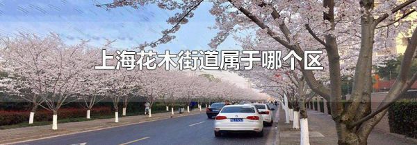 上海花木街道属于哪个区